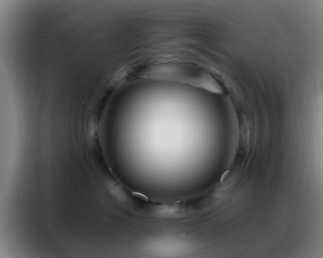 X0000088130574200705211118