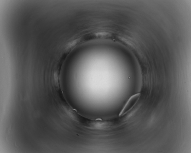 X0000088130575200705211118