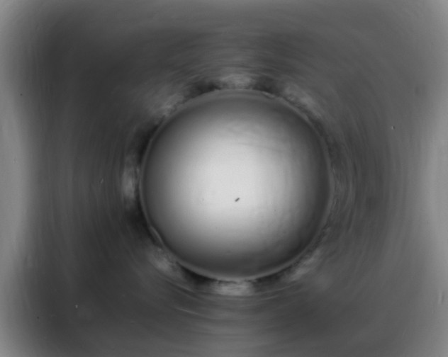 X0000088130576200705211118