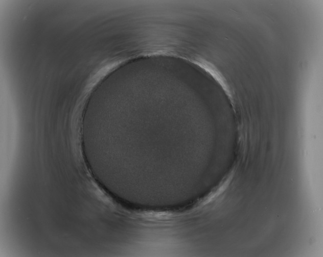 X0000088130577200705211117