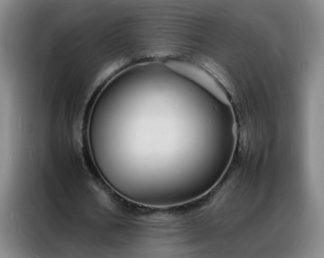 X0000088130578200705211117