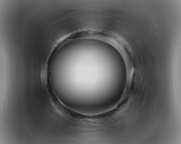 X0000088130580200705211117