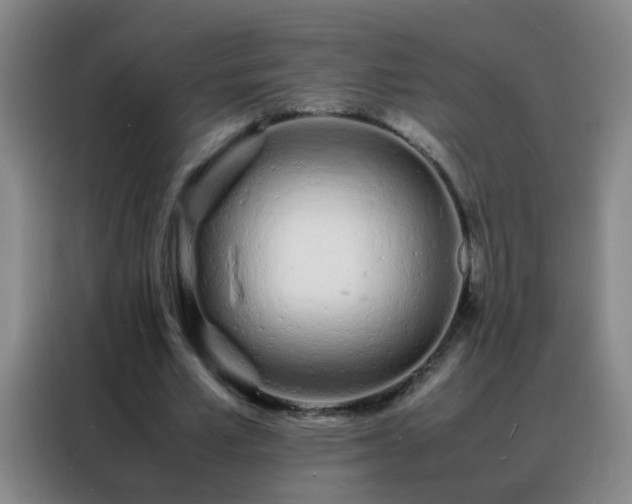 X0000088130581200705211117