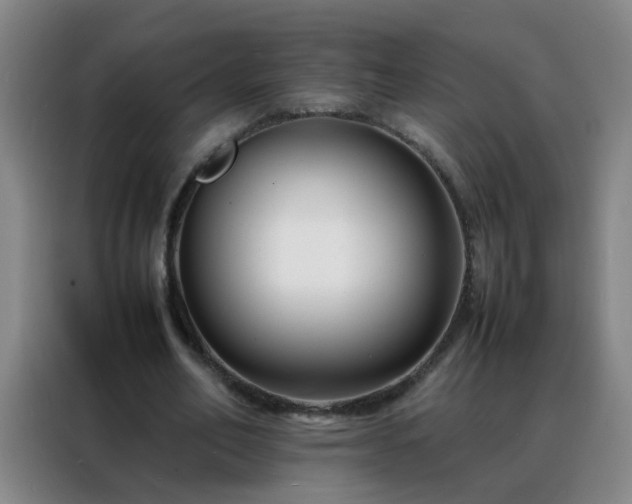 X0000088130582200705211117