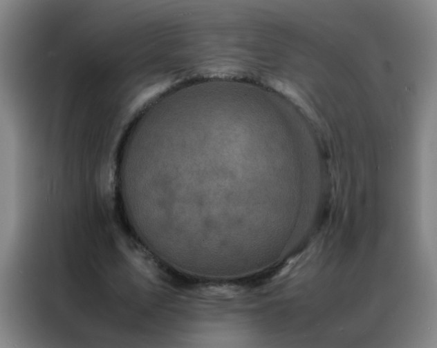 X0000088130583200705211117