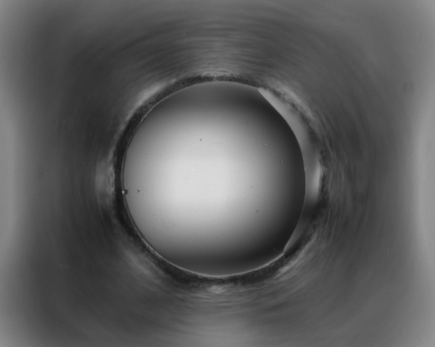 X0000088130584200705211117