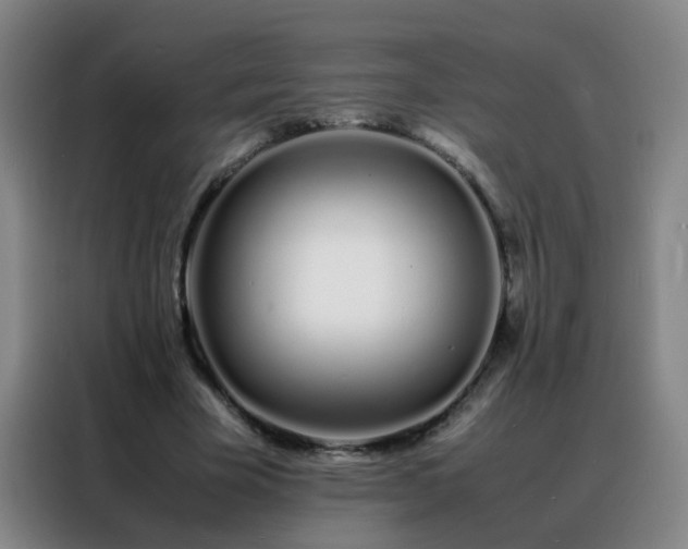 X0000088130585200705211117