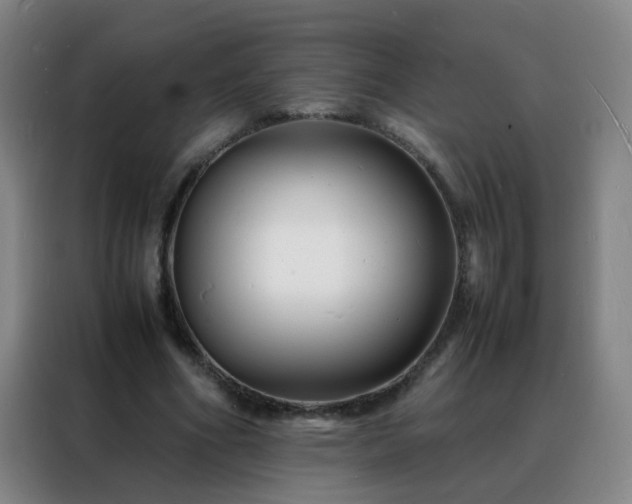 X0000088130586200705211117