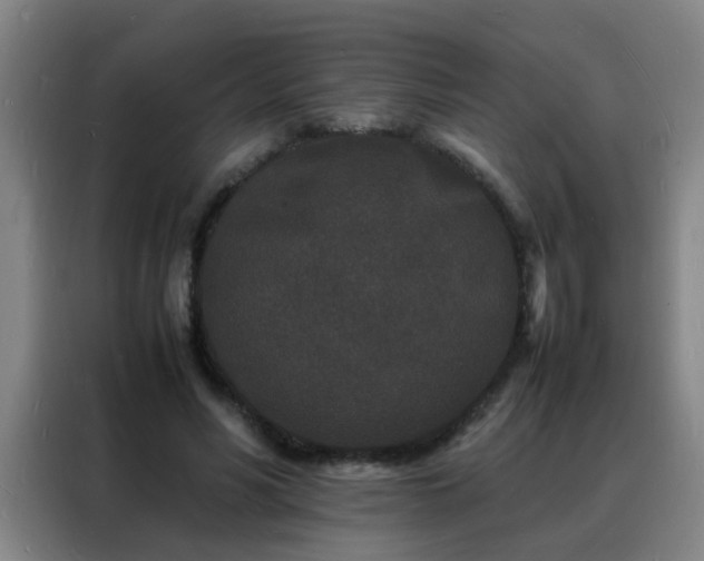 X0000088130590200705211117