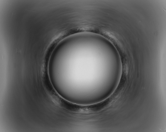 X0000088130591200705211117