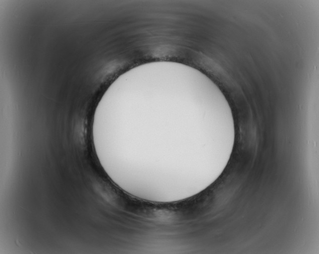 X0000088130592200705211117