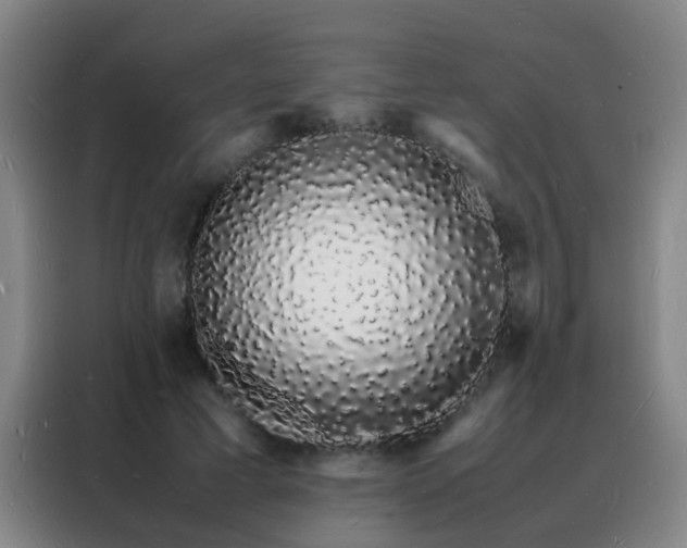 X0000088130593200705211117