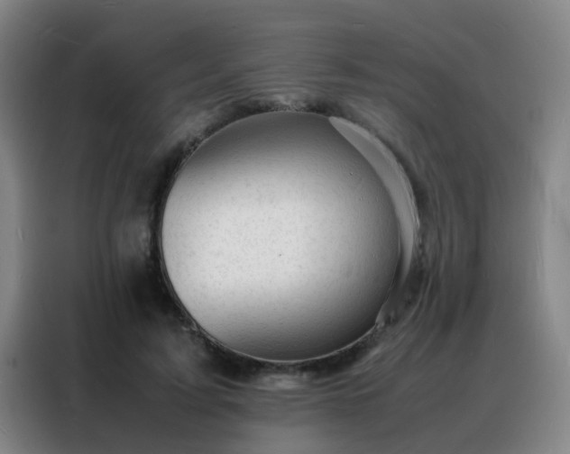 X0000088130595200705211117