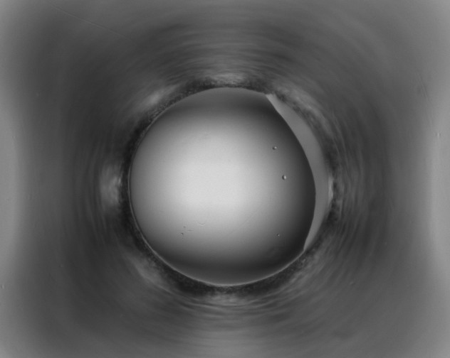 X0000088130596200705211117