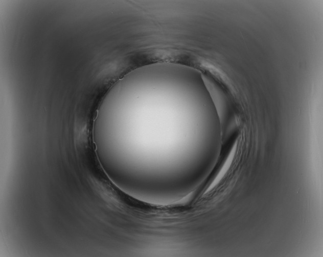 X0000088130597200705211117