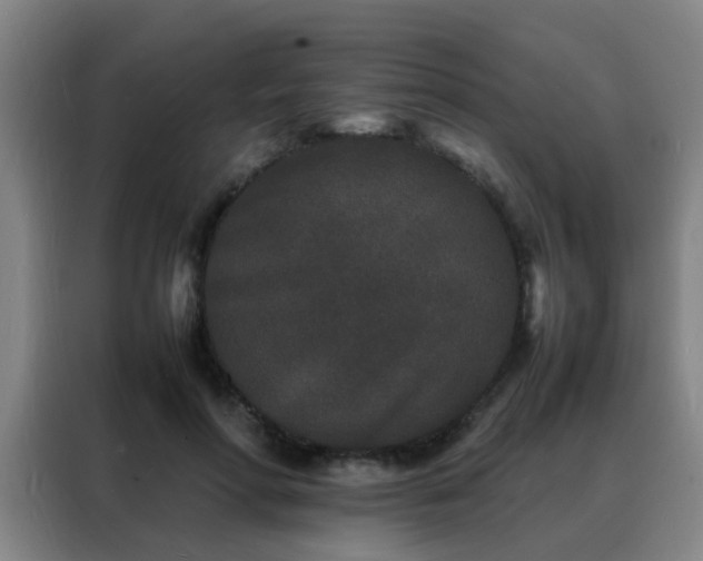 X0000088130598200705211117