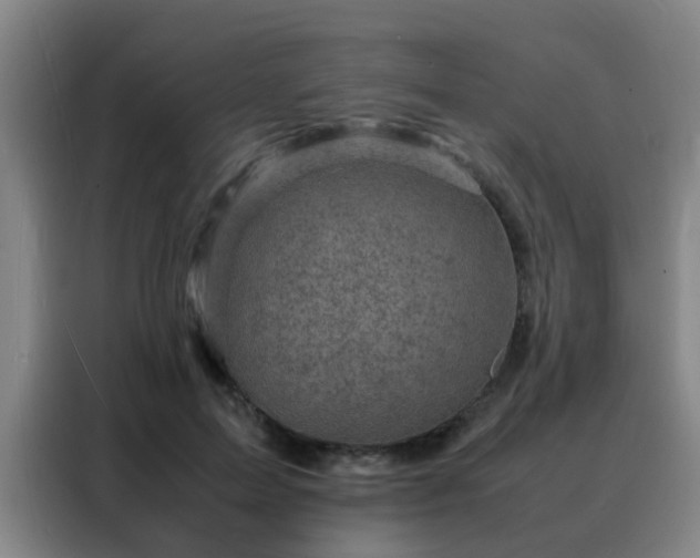 X0000088130599200705211117