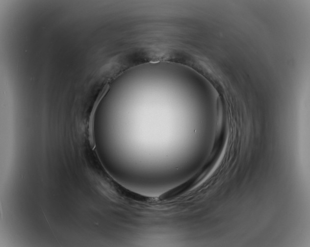 X0000088130601200705211117