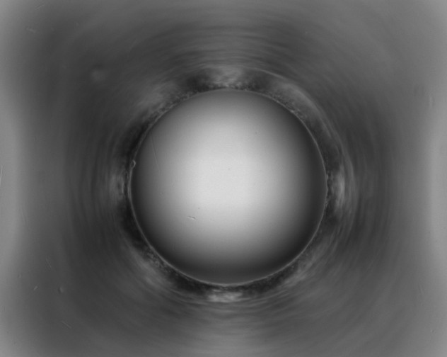 X0000088130602200705211117