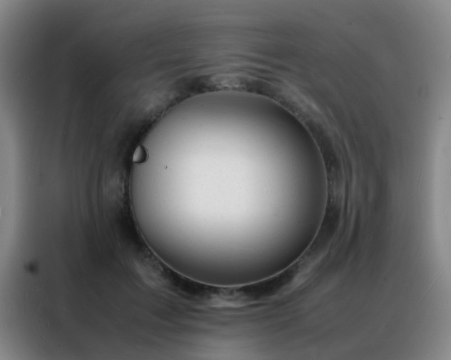 X0000088130603200705211117