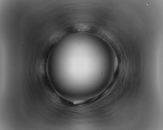 X0000088130604200705211117