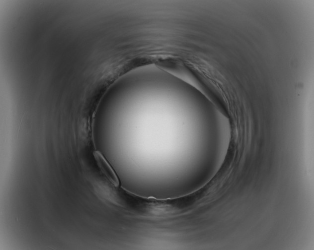 X0000088130605200705211117