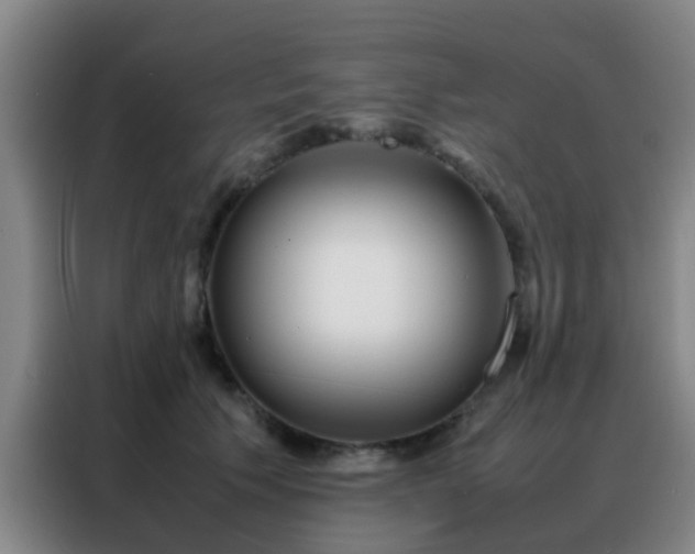 X0000088130609200705211117