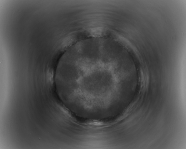 X0000088130610200705211117