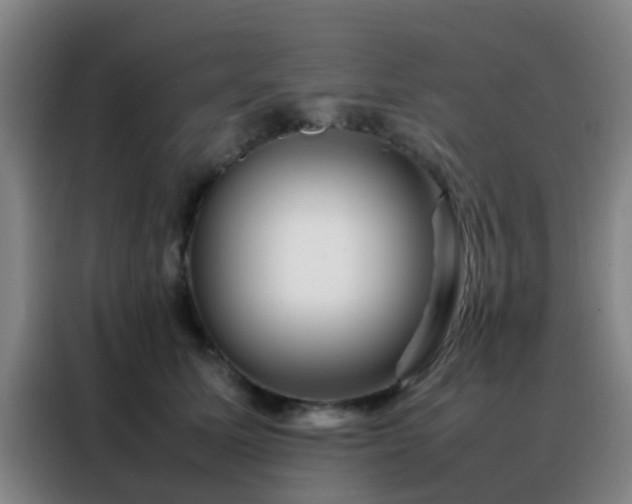 X0000088130611200705211117