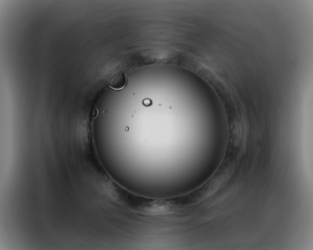 X0000088130612200705211117