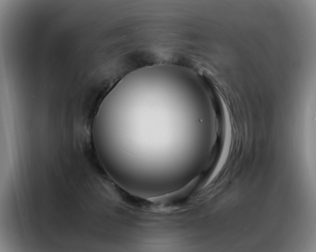 X0000088130613200705211117