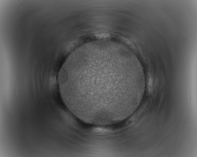 X0000088130614200705211117