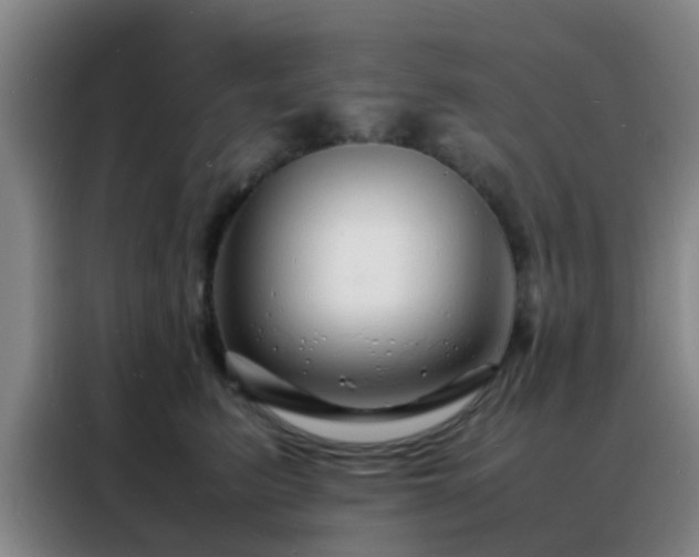 X0000088130615200705211117