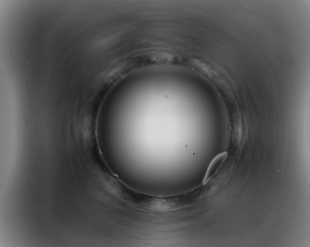 X0000088130616200705211117