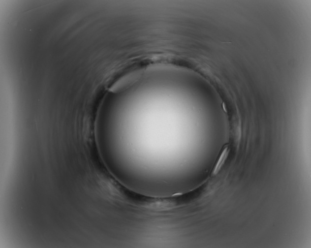 X0000088130619200705211117