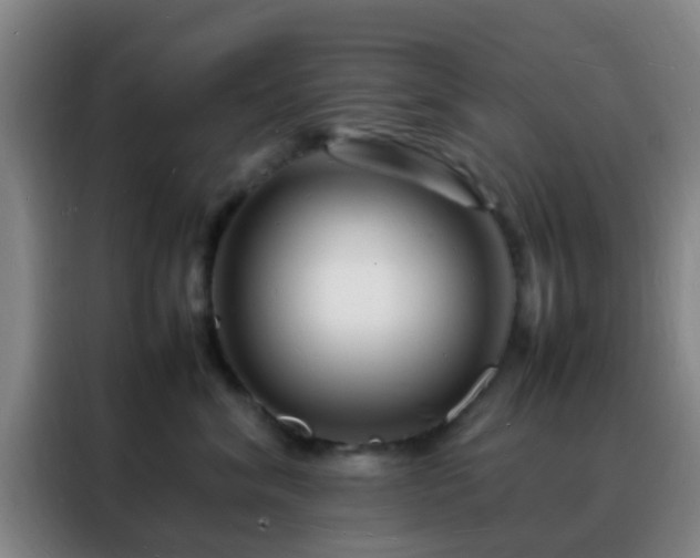 X0000088130620200705211117