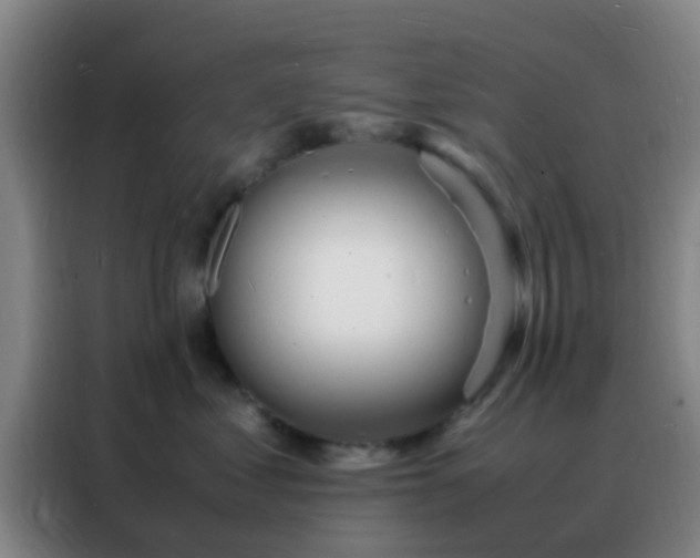 X0000088130621200705211117