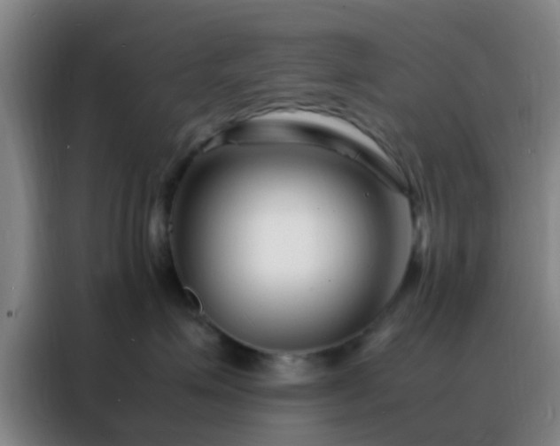 X0000088130623200705211117