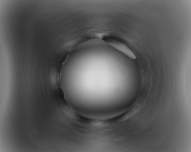 X0000088130624200705211117