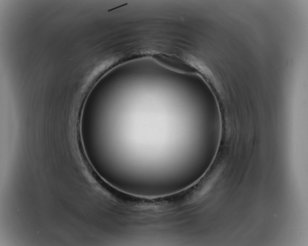 X0000088130625200705211116