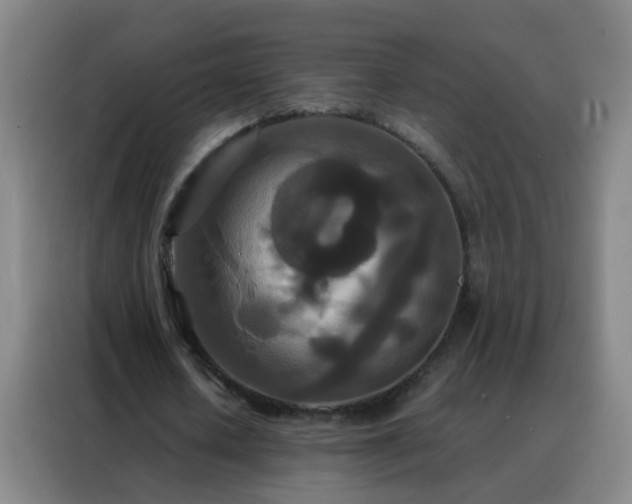 X0000088130626200705211116