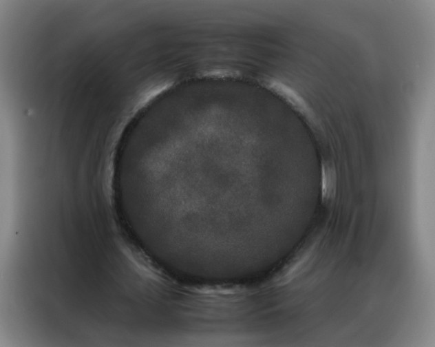 X0000088130627200705211116