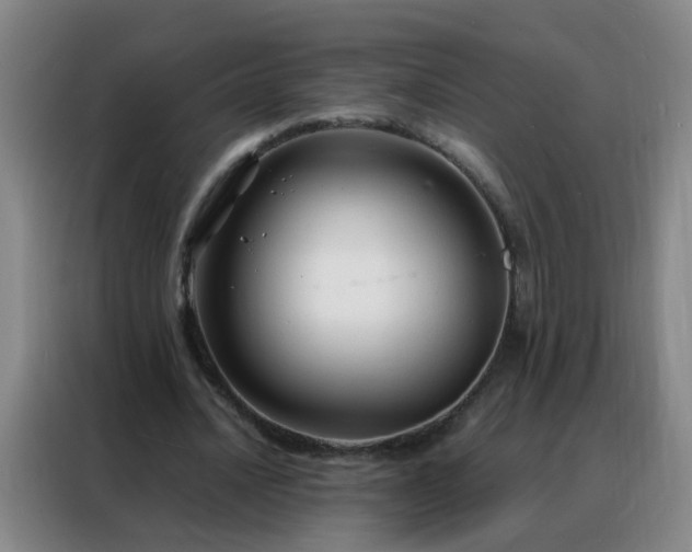 X0000088130628200705211116