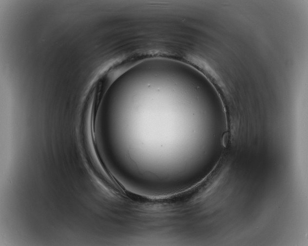 X0000088130629200705211116