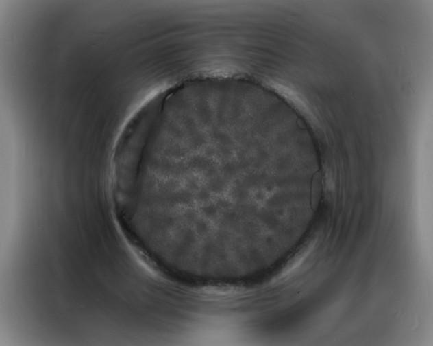 X0000088130630200705211116