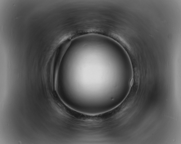 X0000088130631200705211116