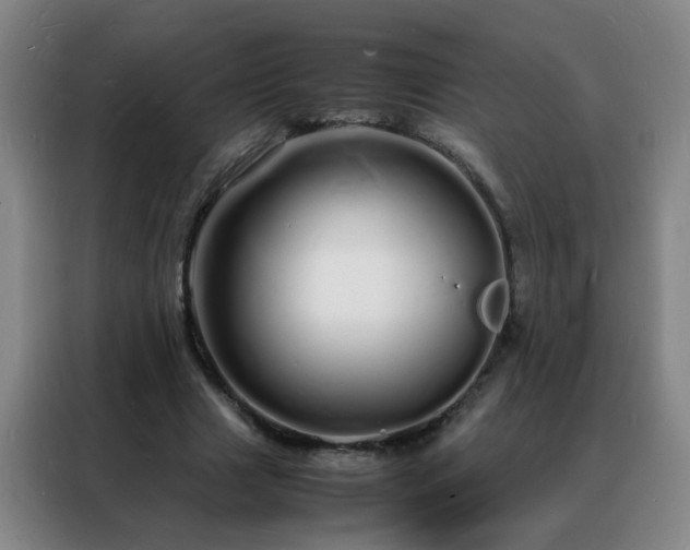 X0000088130633200705211116