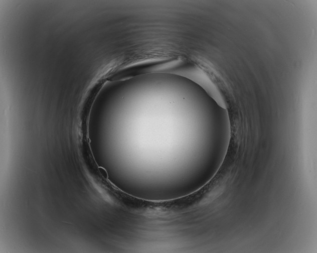 X0000088130634200705211116