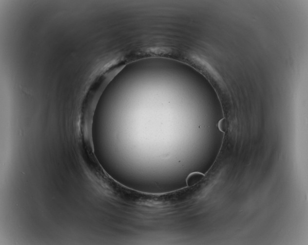 X0000088130635200705211116