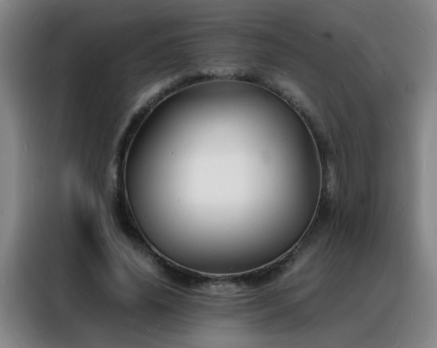 X0000088130636200705211116